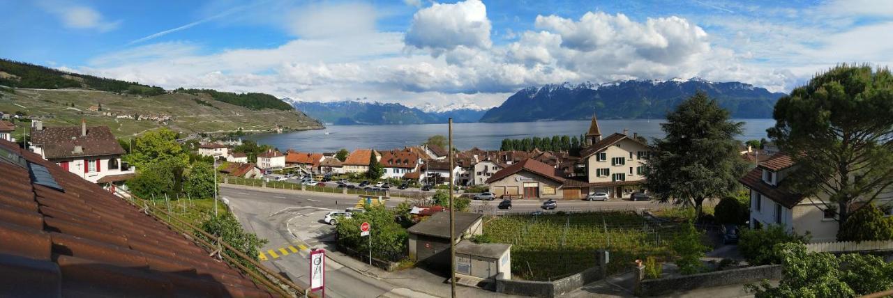 Charmante Maison Au Coeur Du Lavaux, Cully, Cuisine, Wifi, Les Echalas Екстер'єр фото