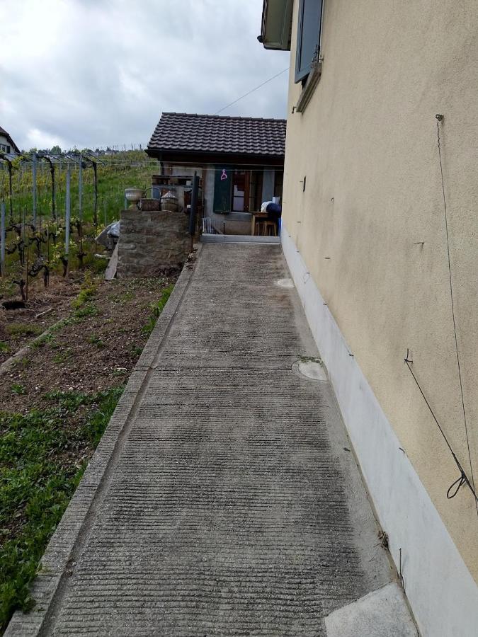 Charmante Maison Au Coeur Du Lavaux, Cully, Cuisine, Wifi, Les Echalas Екстер'єр фото