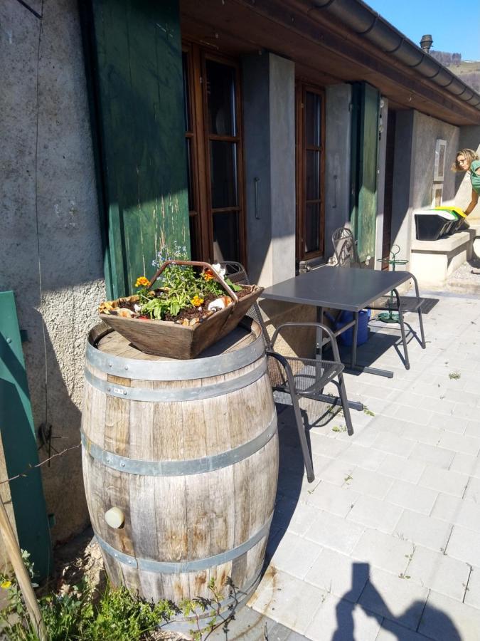 Charmante Maison Au Coeur Du Lavaux, Cully, Cuisine, Wifi, Les Echalas Екстер'єр фото
